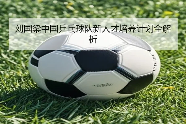 刘国梁中国乒乓球队新人才培养计划全解析